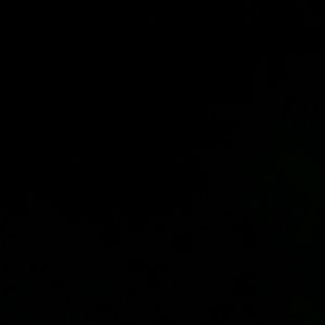 Meet your Posher, Max